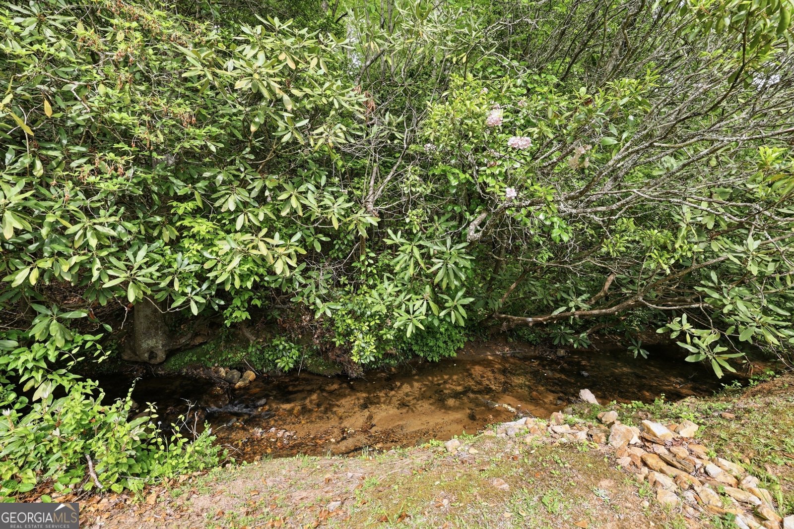 4960 Laurel Lodge Rd LOT 2 Clarkesville - Photo 25