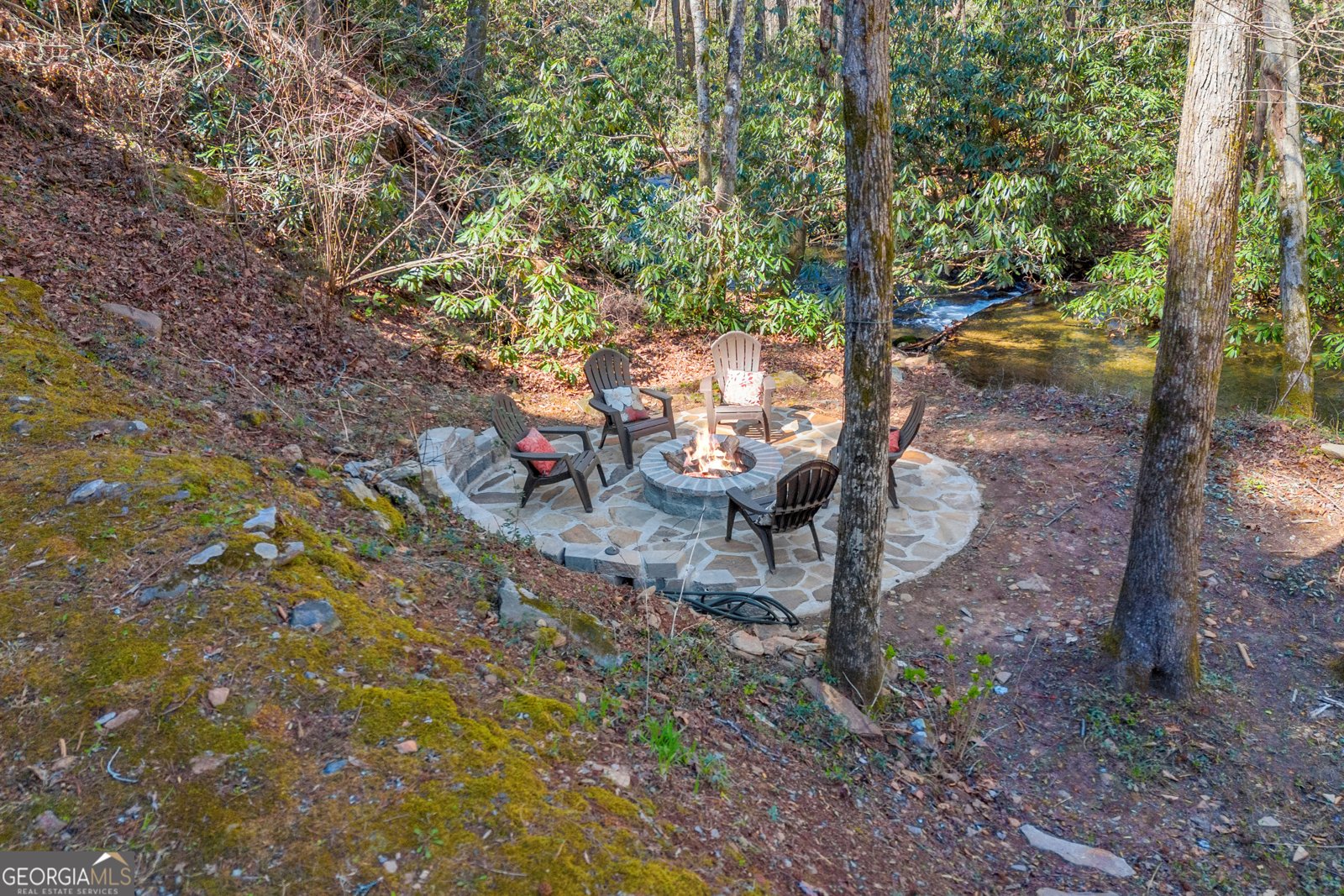 740 Little Rock Creek Road Cherry Log - Photo 8