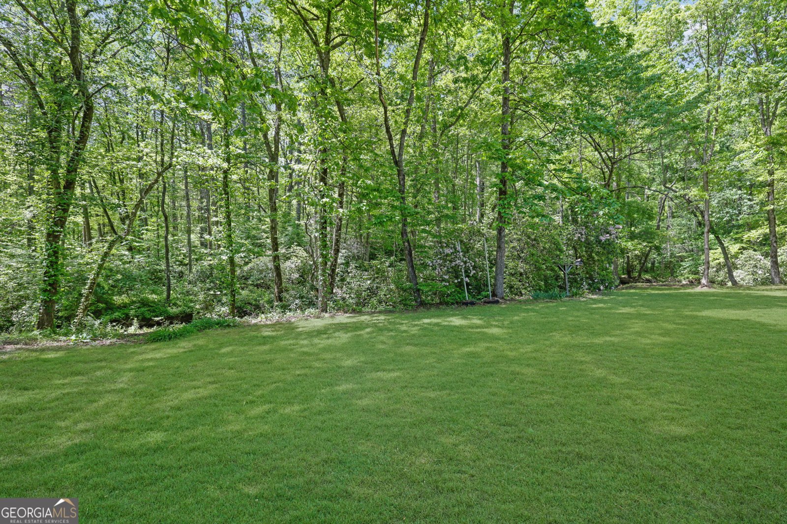 9368 Highway 52 Dahlonega - Photo 33