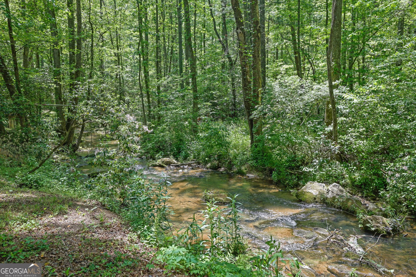 9368 Highway 52 Dahlonega - Photo 34