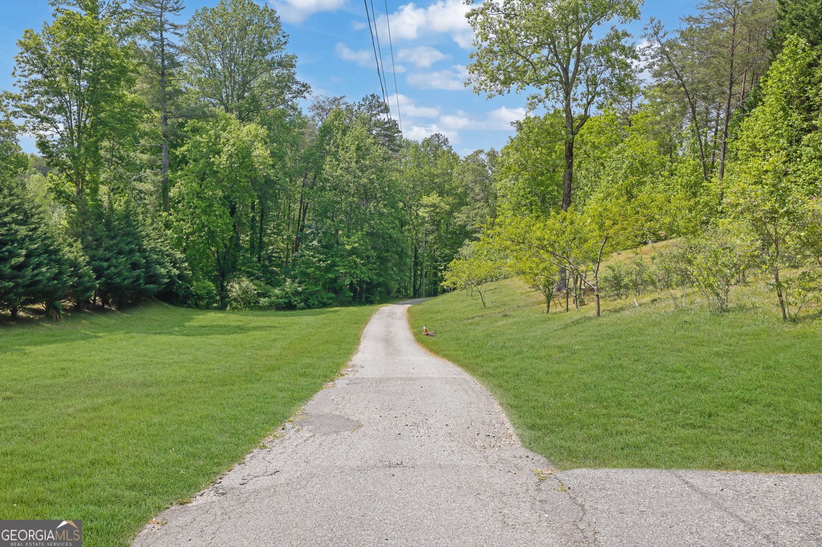 9368 Highway 52 Dahlonega - Photo 42