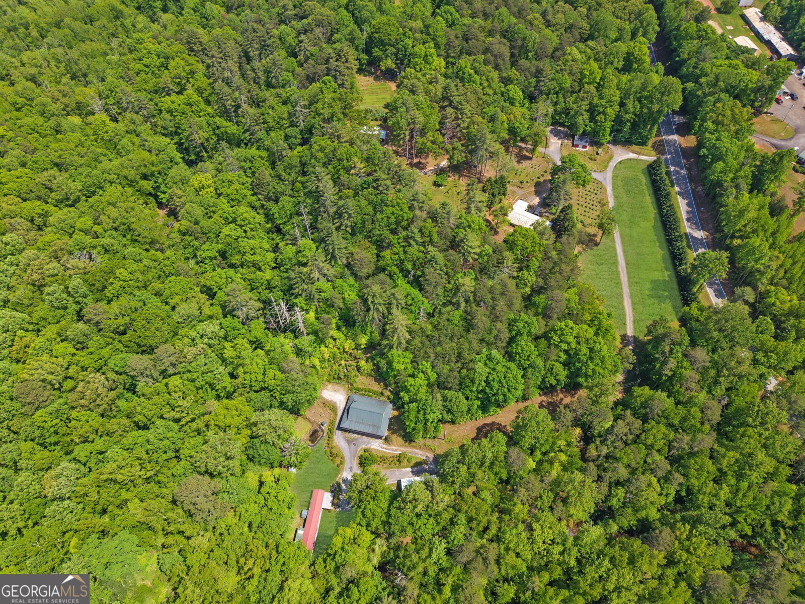 9368 Highway 52 Dahlonega - Photo 46