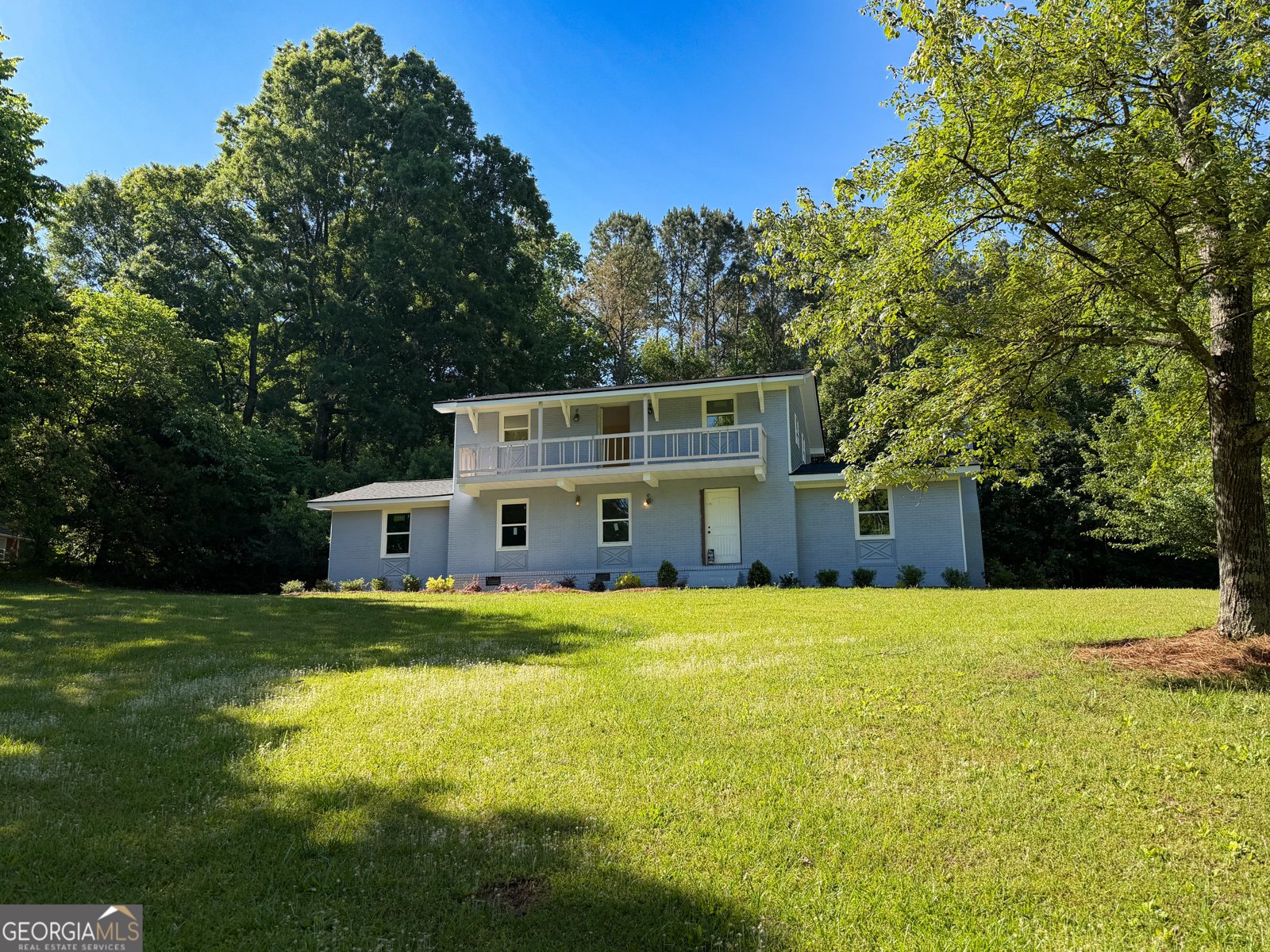 15316 GA HWY 18 Zebulon - Photo 1