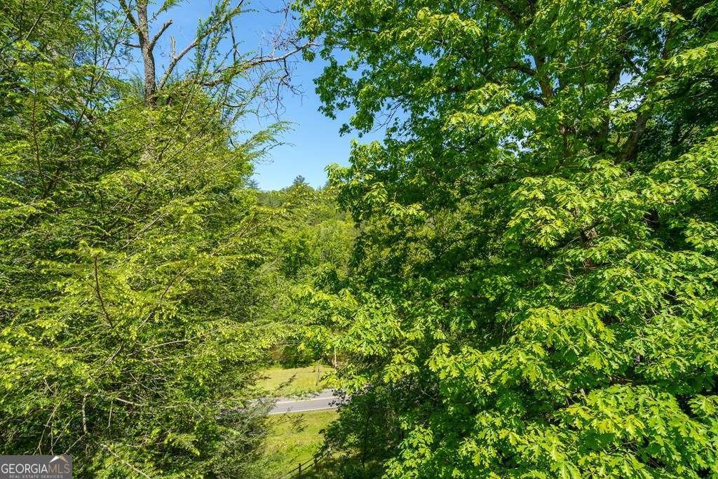 145 Rocky Top Road Blue Ridge - Photo 43