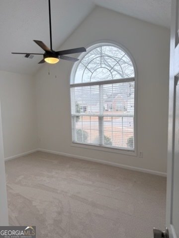 11 Winter Lane Newnan - Photo 11