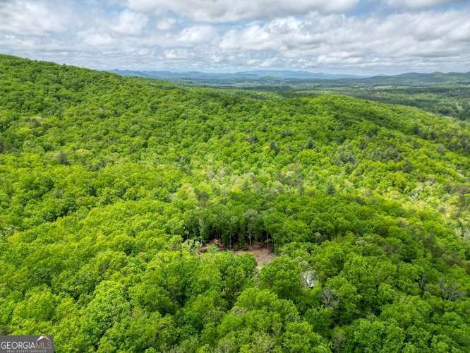 478 Flat Top Road Blairsville - Photo 20