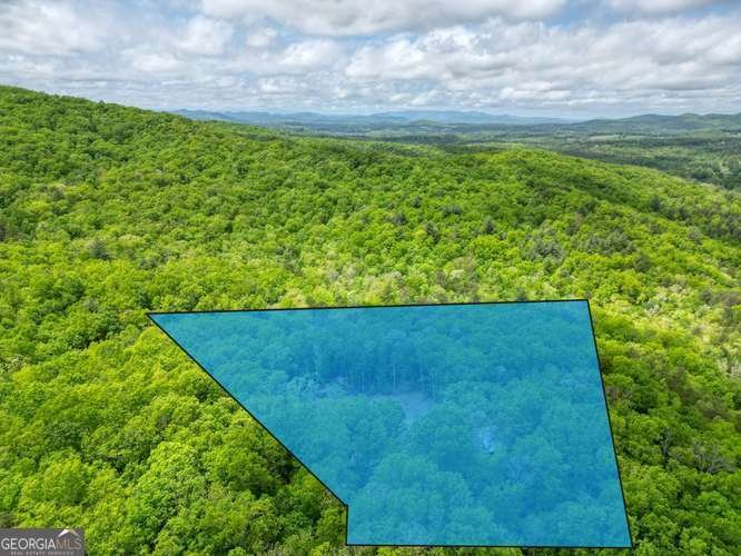 478 Flat Top Road Blairsville - Photo 21