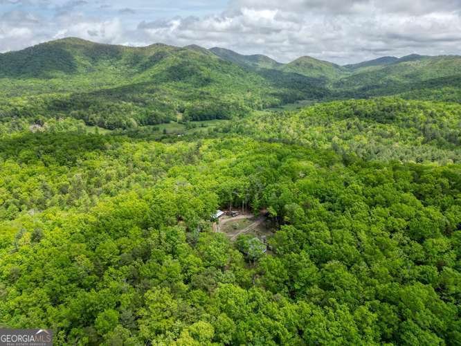 478 Flat Top Road Blairsville - Photo 22