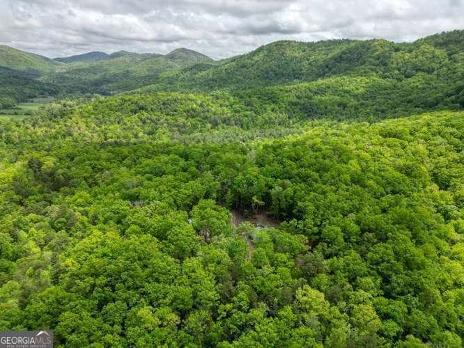 478 Flat Top Road Blairsville - Photo 24