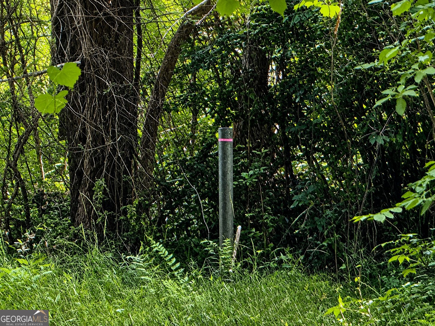 406 Mt Zion Road Bonaire - Photo 62
