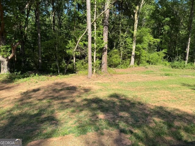 107 Deer Chase Drive Canon - Photo 19
