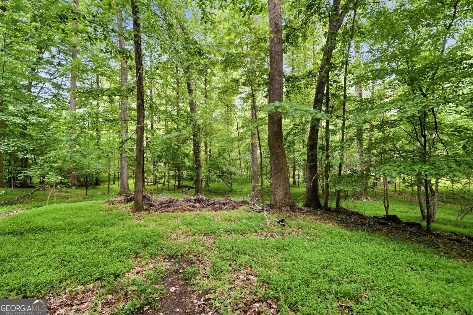 14772 Taylor Valley Way Milton - Photo 91