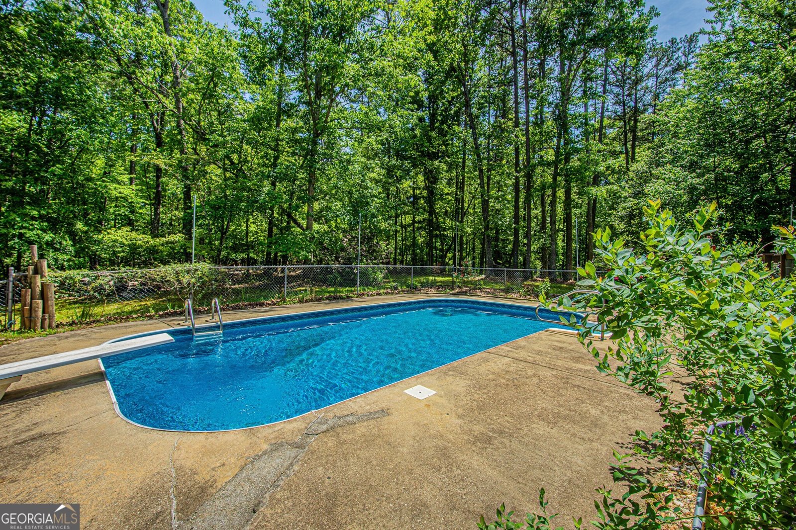 429 Buckhorn Tavern Road Dahlonega - Photo 15