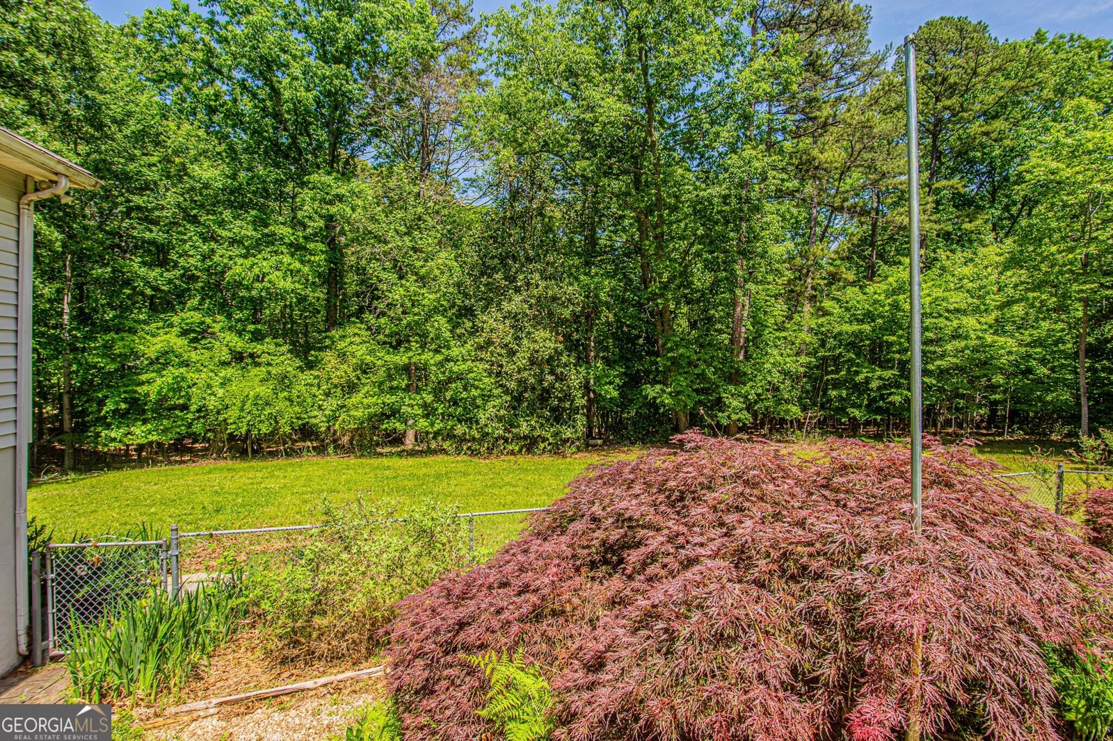 429 Buckhorn Tavern Road Dahlonega - Photo 16