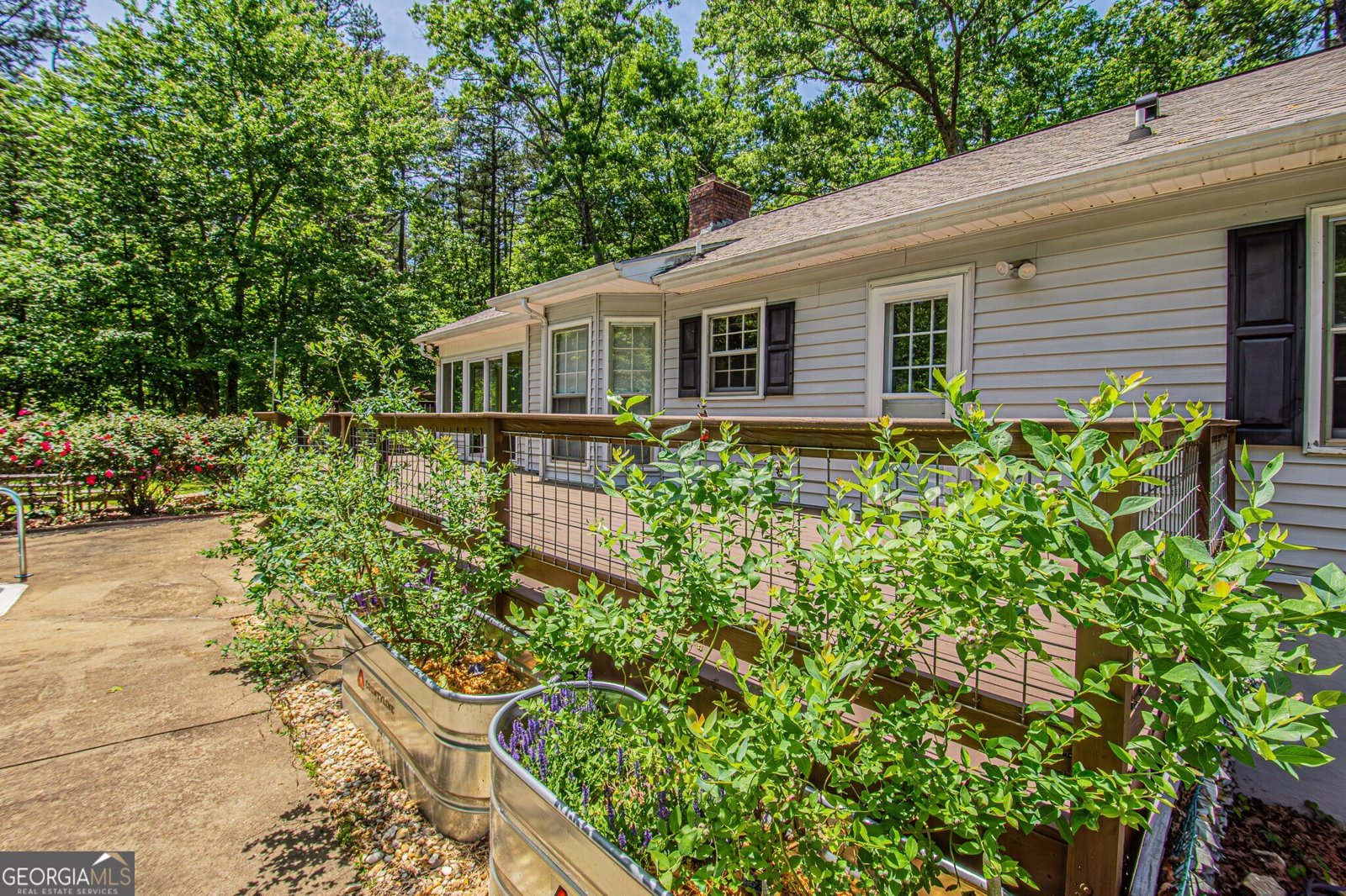 429 Buckhorn Tavern Road Dahlonega - Photo 17