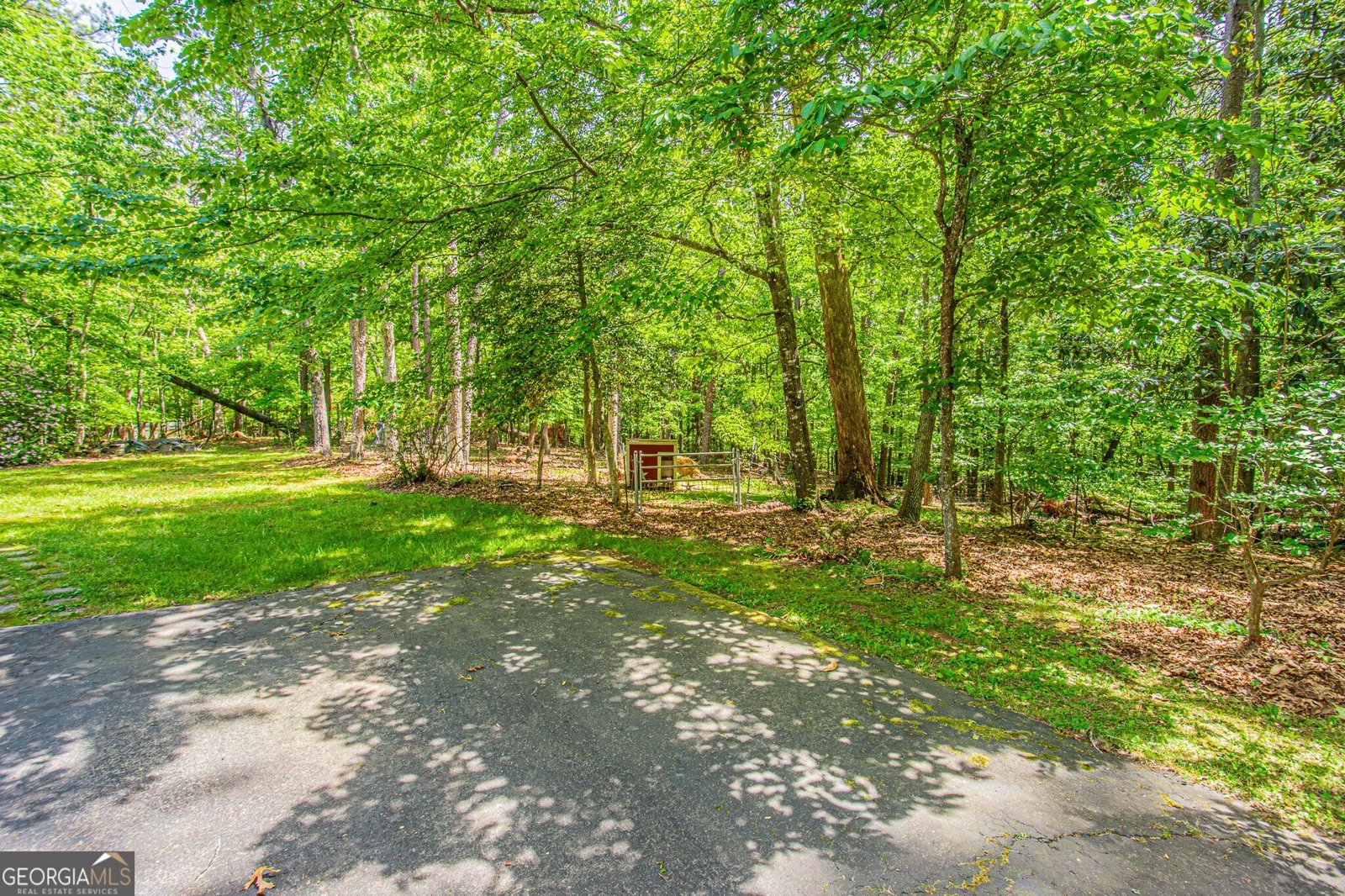 429 Buckhorn Tavern Road Dahlonega - Photo 68