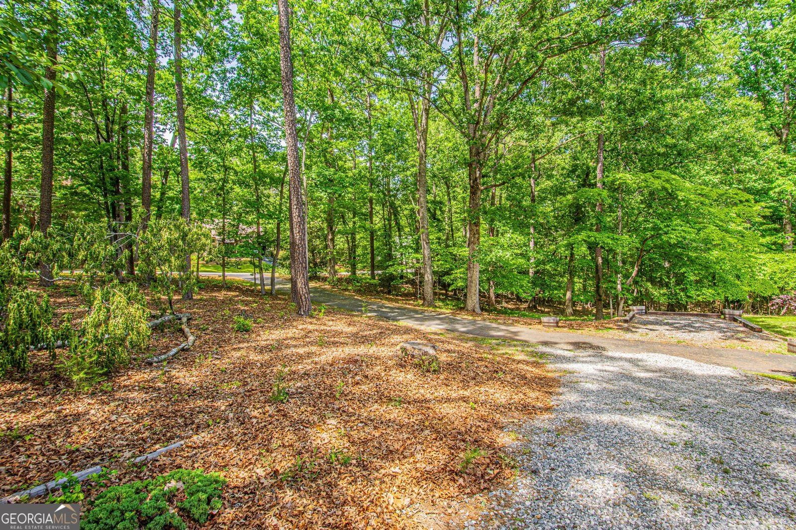 429 Buckhorn Tavern Road Dahlonega - Photo 72