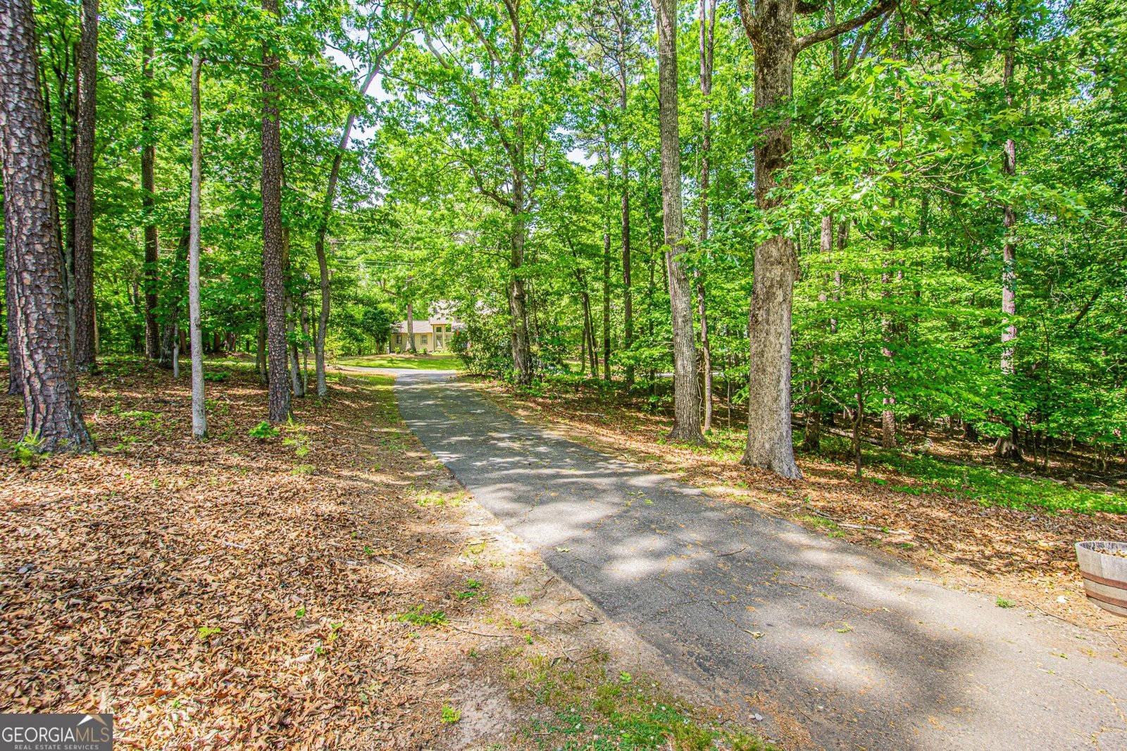 429 Buckhorn Tavern Road Dahlonega - Photo 74