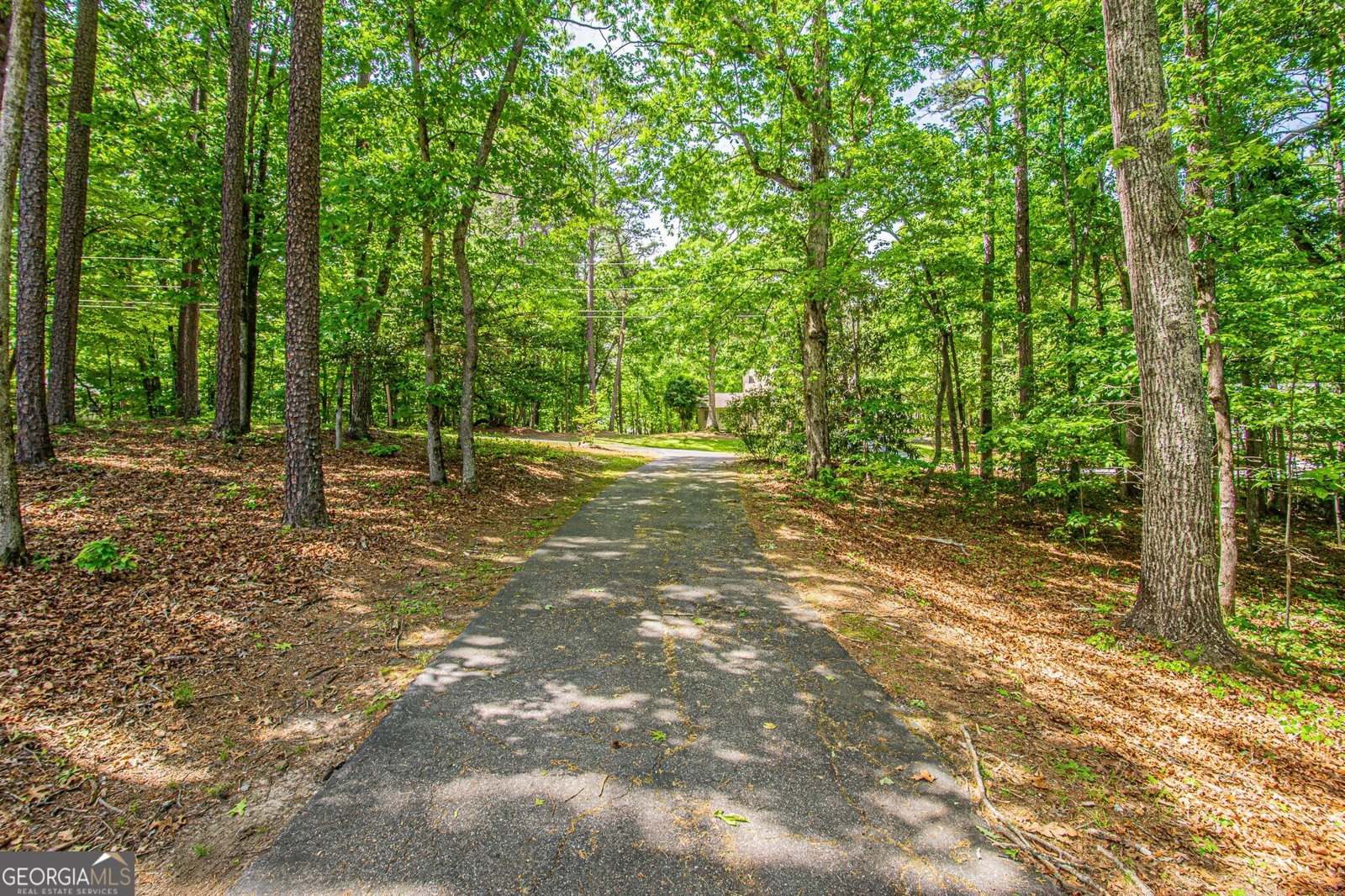 429 Buckhorn Tavern Road Dahlonega - Photo 78