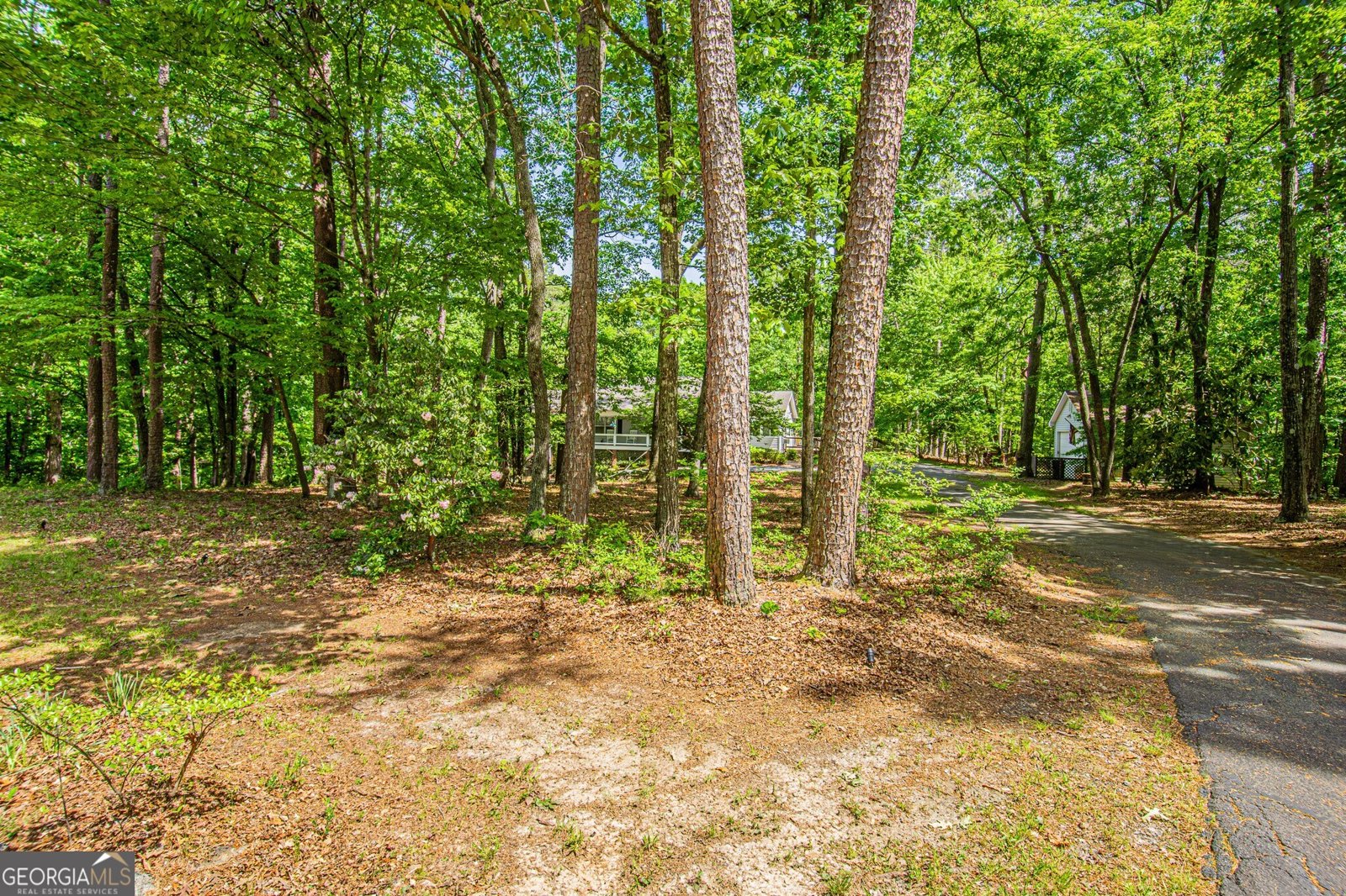 429 Buckhorn Tavern Road Dahlonega - Photo 79