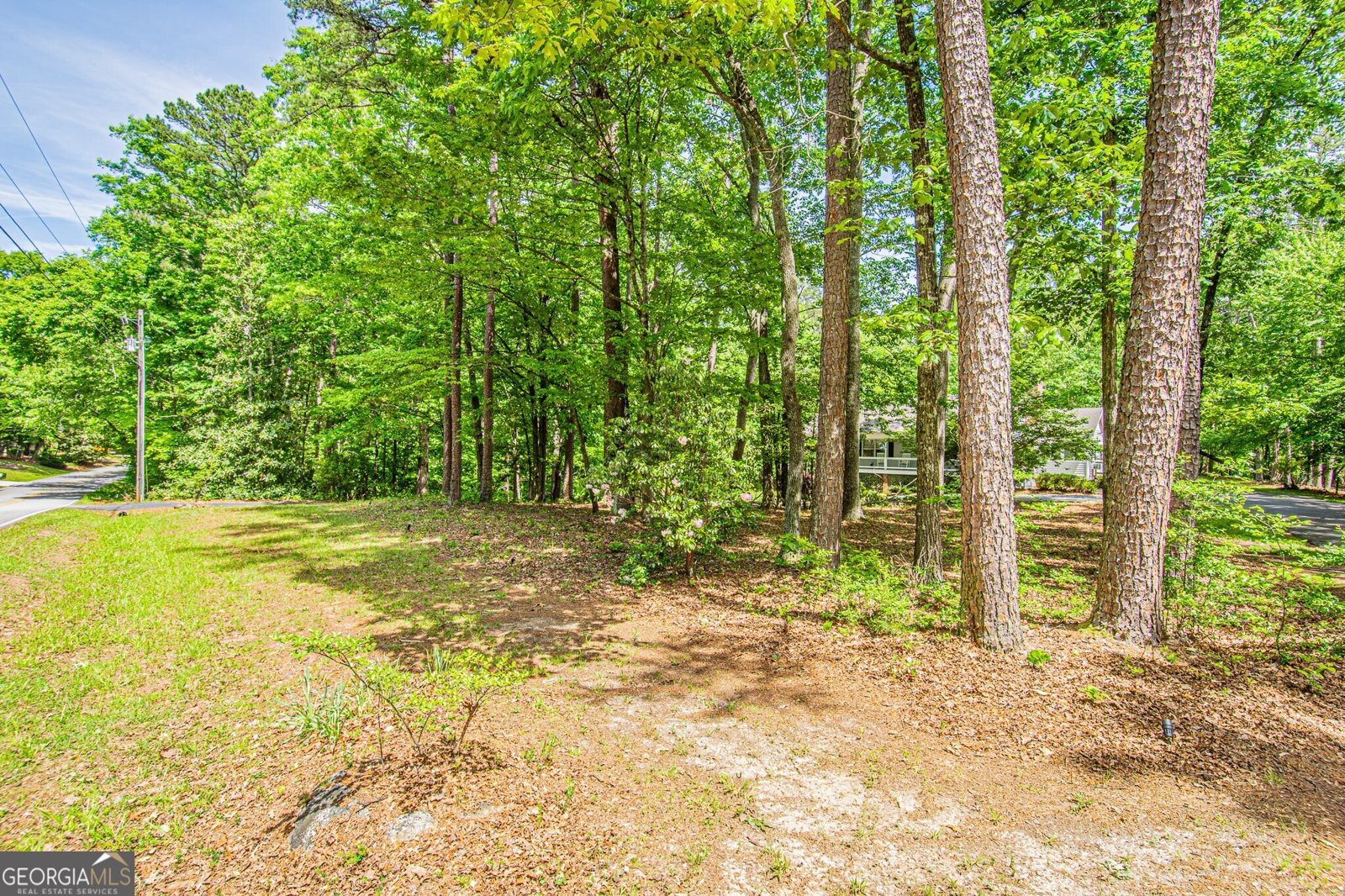 429 Buckhorn Tavern Road Dahlonega - Photo 80