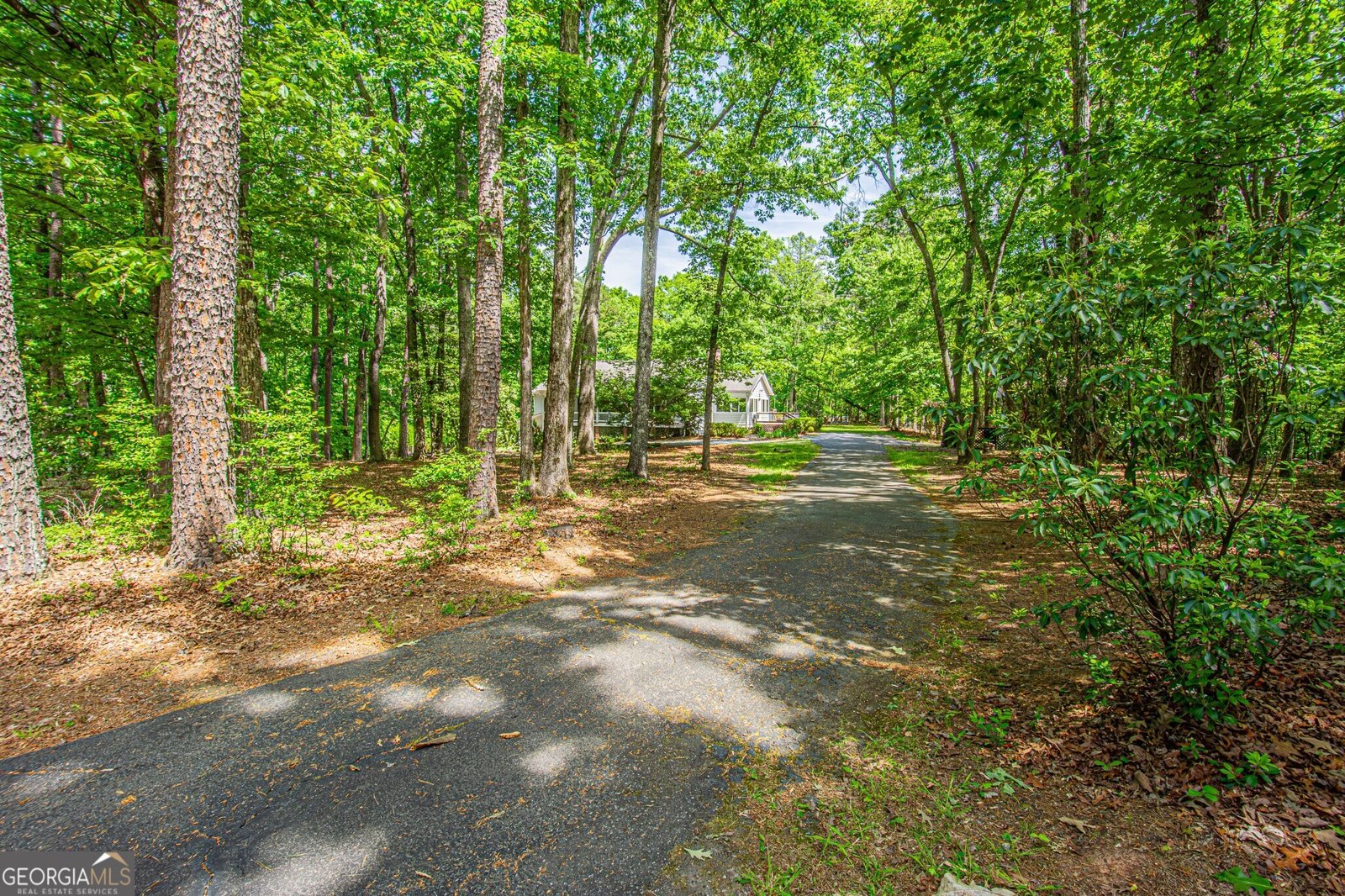 429 Buckhorn Tavern Road Dahlonega - Photo 81