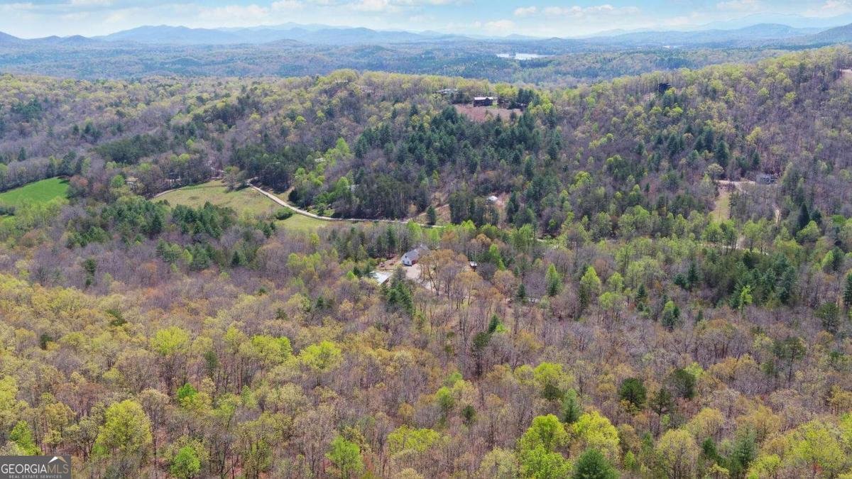 202 Dove Lane Morganton - Photo 97