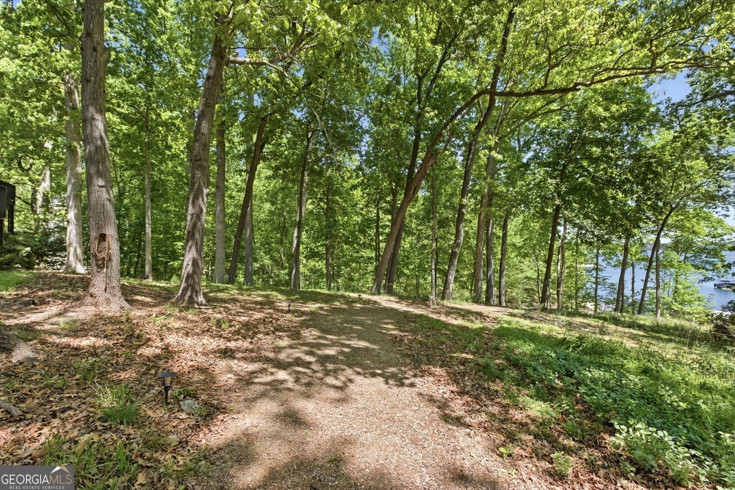 8575 Anchor On Lanier Court Gainesville - Photo 74