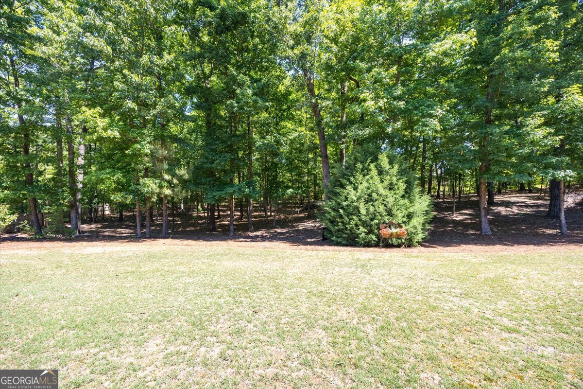 103 N Knotty Court Forsyth - Photo 35