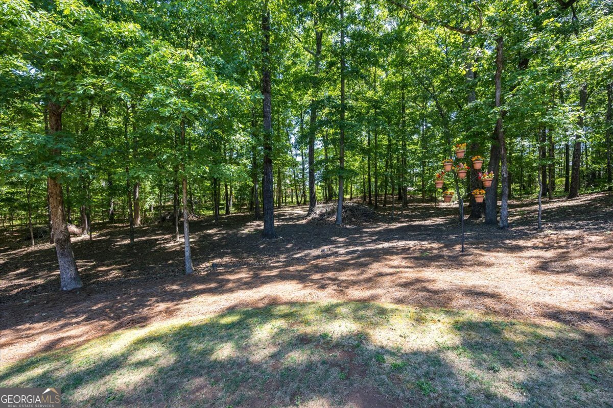 103 N Knotty Court Forsyth - Photo 36