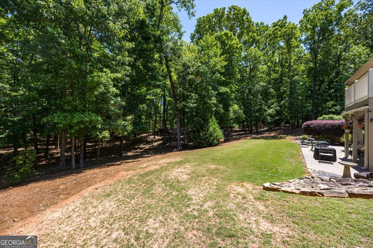 103 N Knotty Court Forsyth - Photo 42