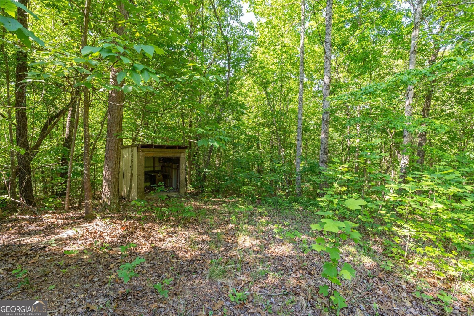 251 Old Stagecoach Road Carrollton - Photo 45