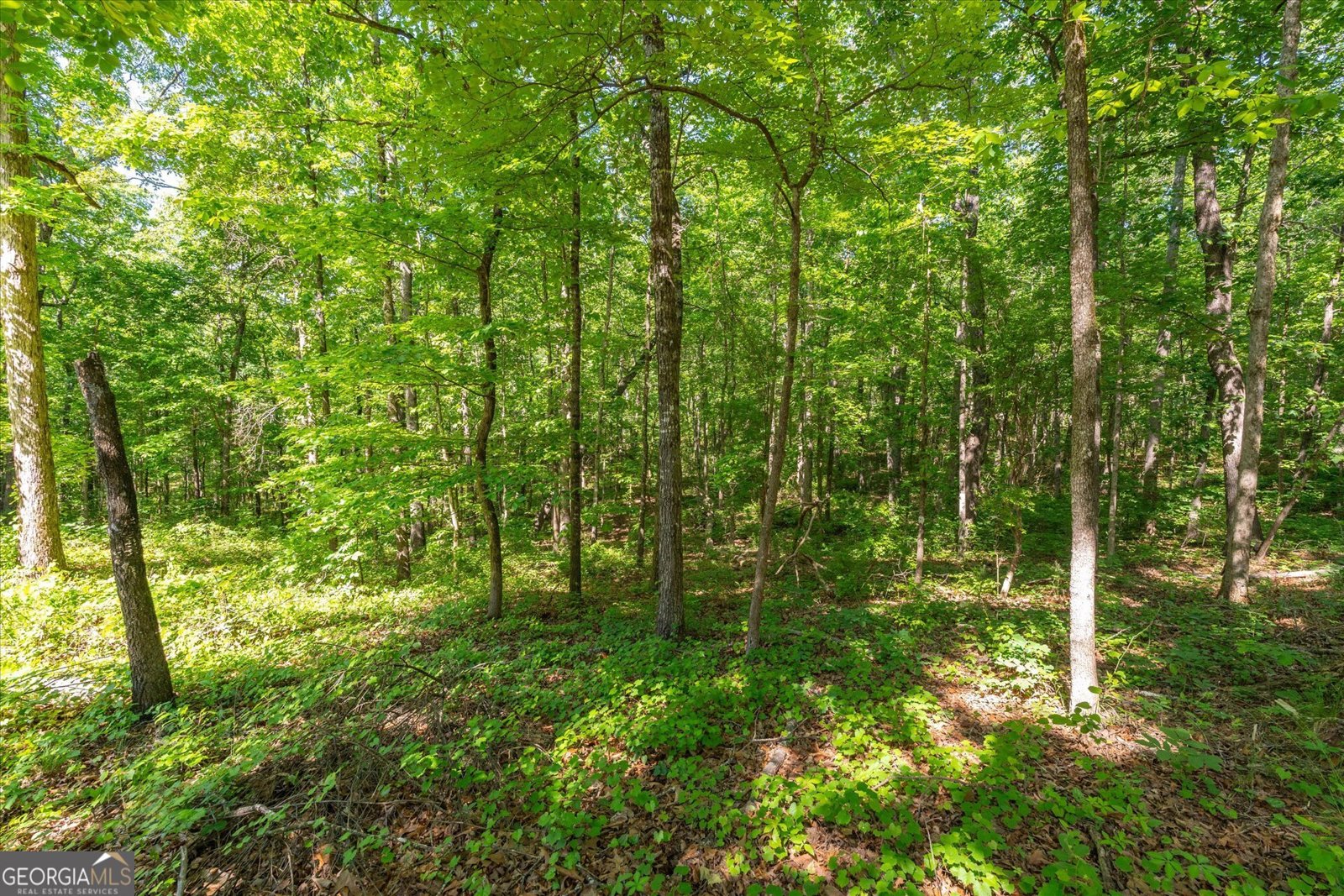251 Old Stagecoach Road Carrollton - Photo 46