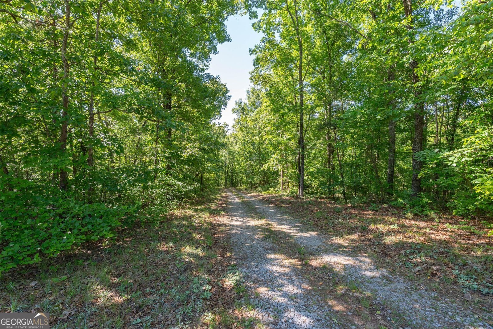 251 Old Stagecoach Road Carrollton - Photo 48