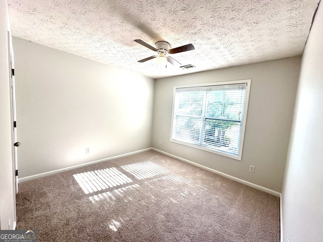 808 Inkberry Road Canton - Photo 10