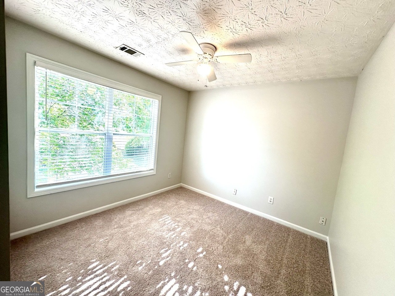 808 Inkberry Road Canton - Photo 12