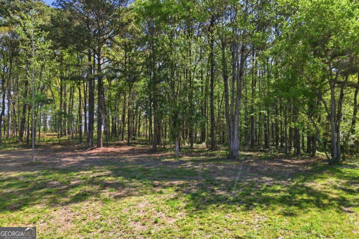 10987 Freehome Highway Canton - Photo 54