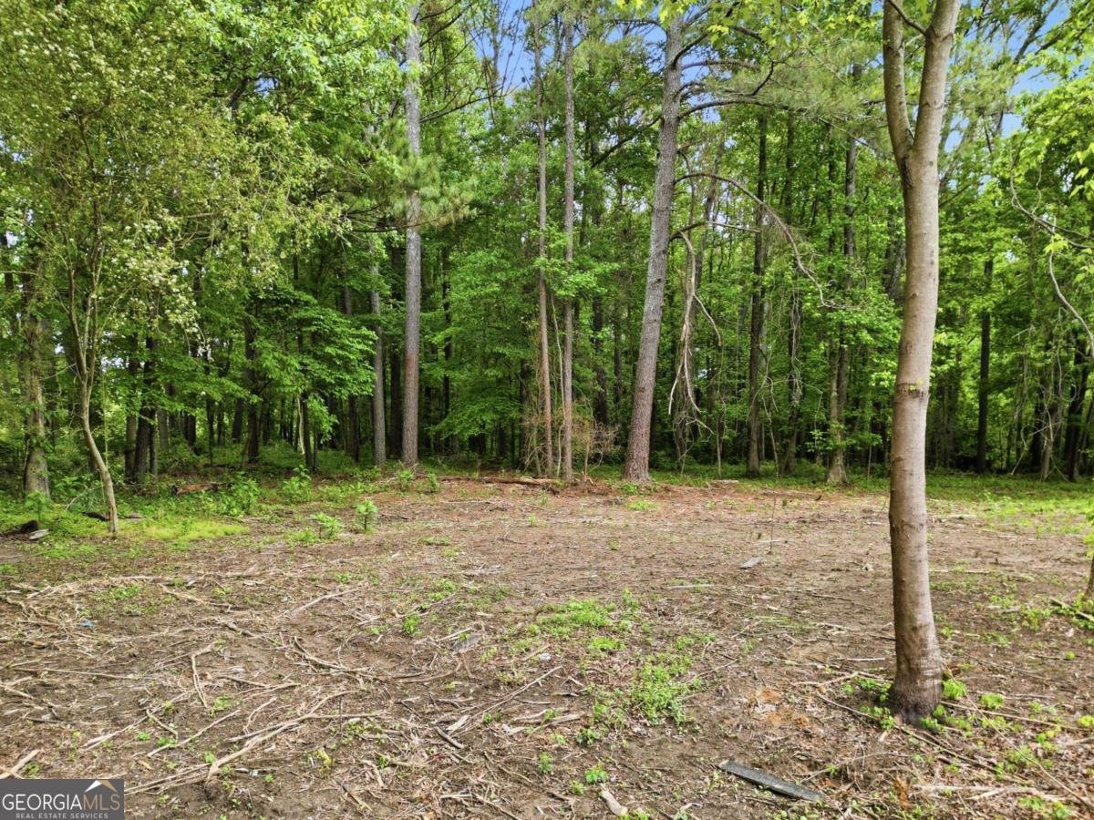 10987 Freehome Highway Canton - Photo 65