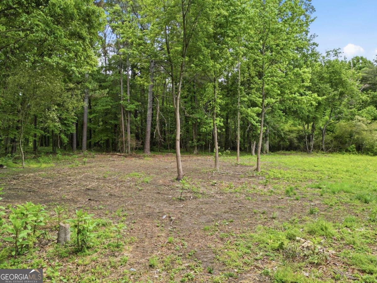 10987 Freehome Highway Canton - Photo 78