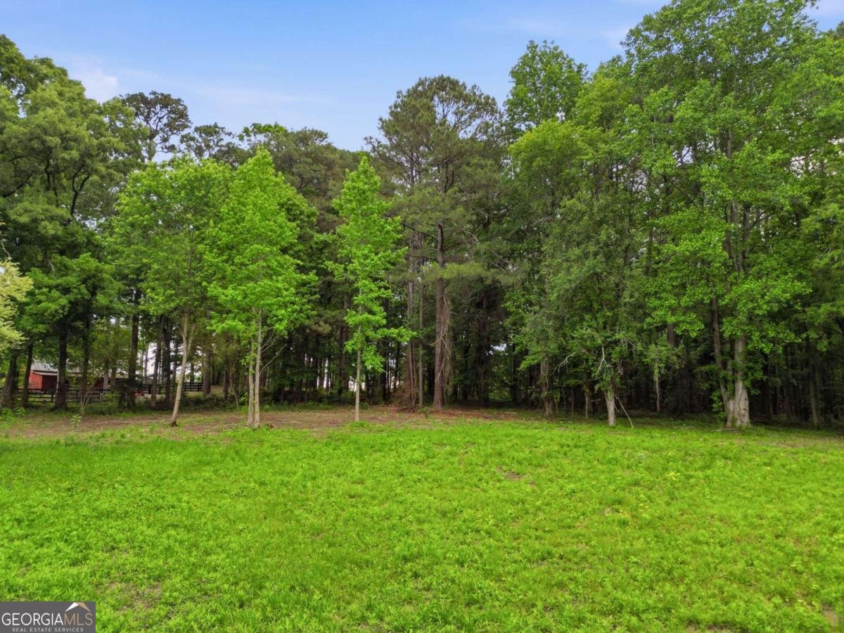 10987 Freehome Highway Canton - Photo 80