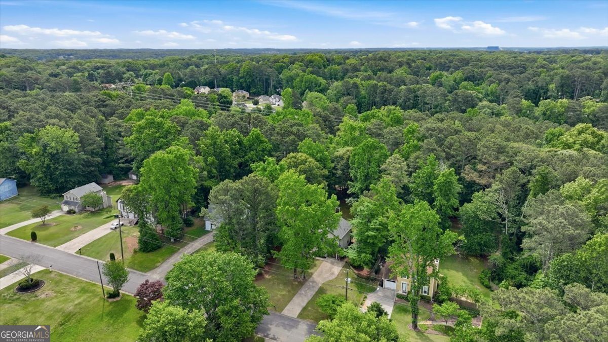 1001 Forest Park Lane Suwanee - Photo 47