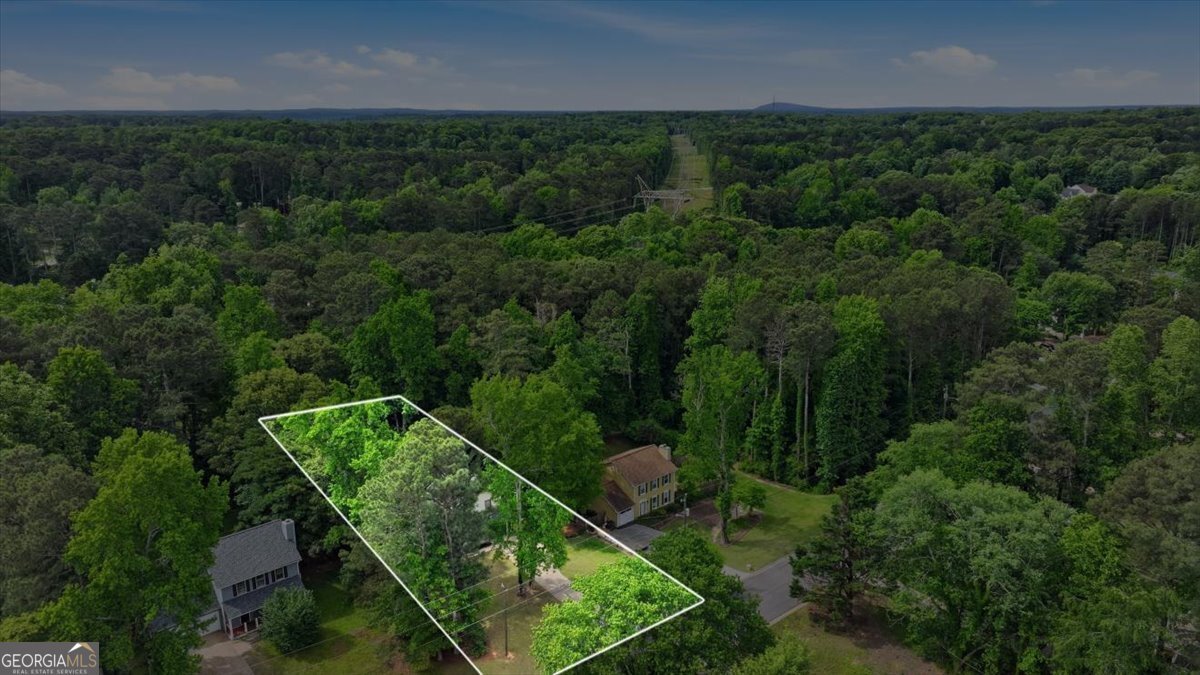 1001 Forest Park Lane Suwanee - Photo 48
