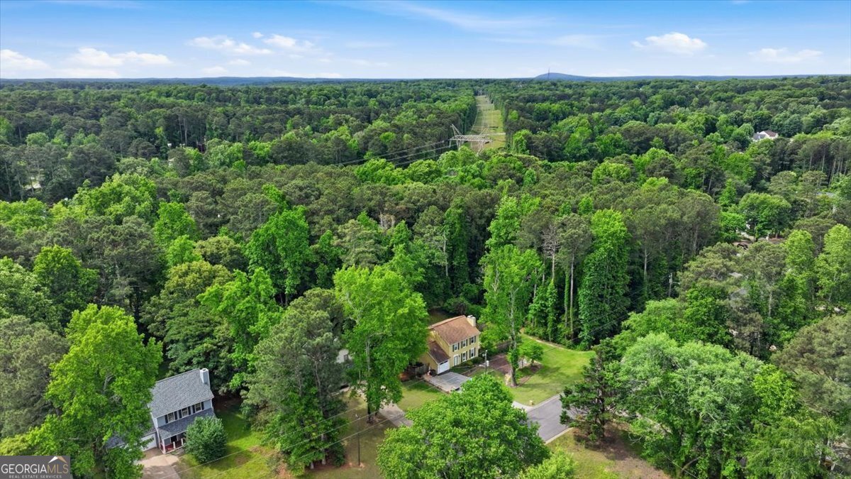 1001 Forest Park Lane Suwanee - Photo 49