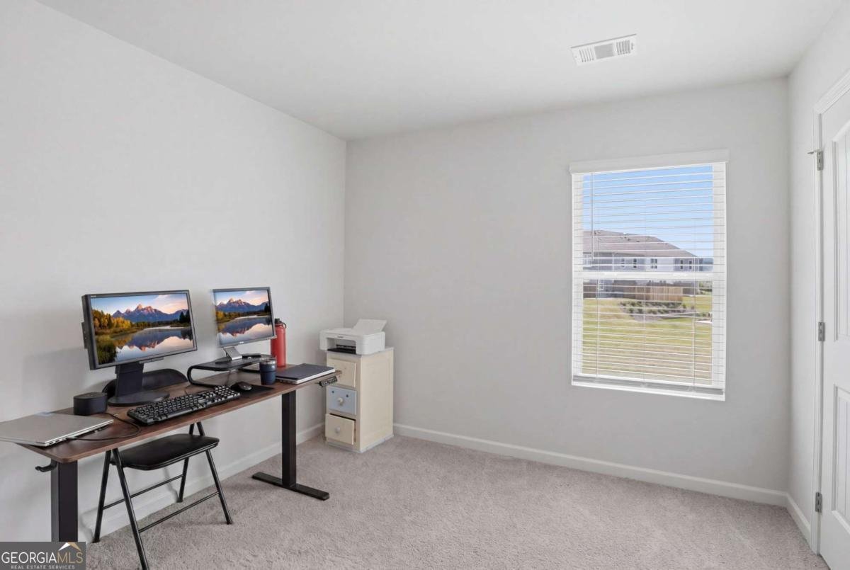 2303 Blue Monarch Drive Buford - Photo 20
