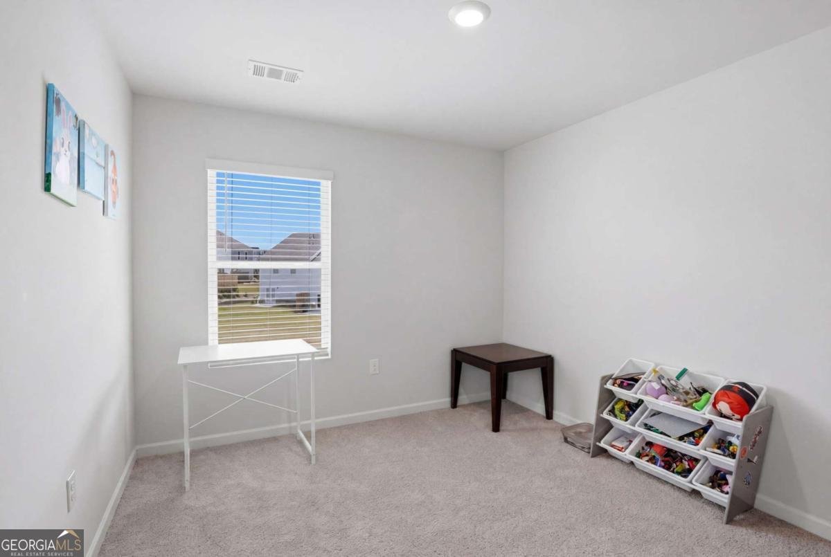 2303 Blue Monarch Drive Buford - Photo 21