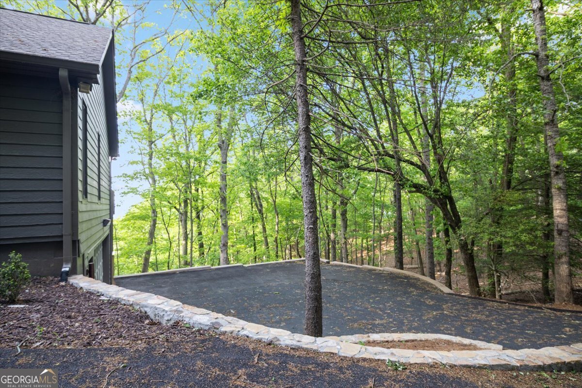 40 Sanderlin Mtn Drive Jasper - Photo 11