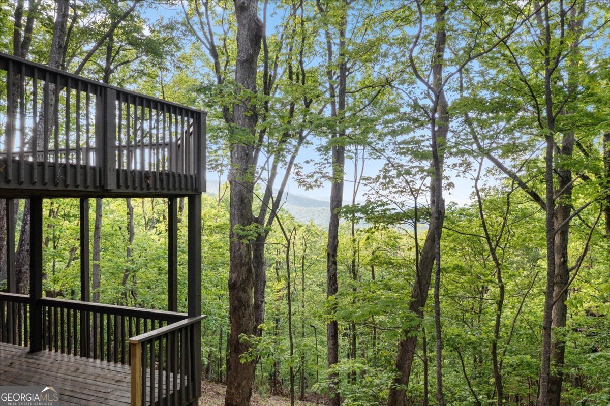 40 Sanderlin Mtn Drive Jasper - Photo 8