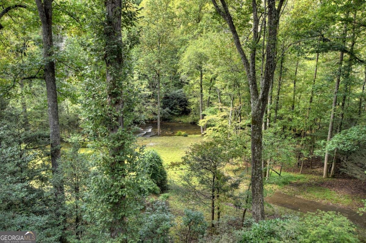 324 Cooper Creek Drive Suches - Photo 39