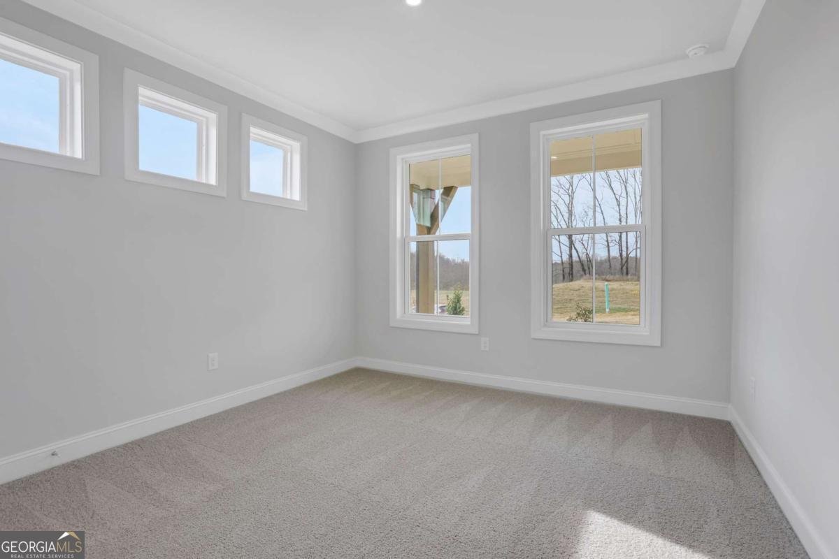 5890 Sweet Acacia Avenue Cumming - Photo 19