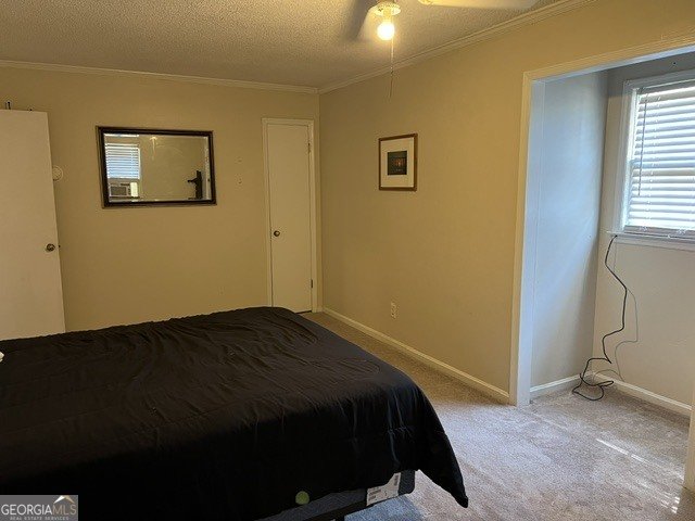 313 Main Street Marshallville - Photo 12